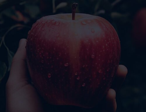 Análise do Livro “Steve Jobs” de Walter Isaacson: Vale a Pena?
